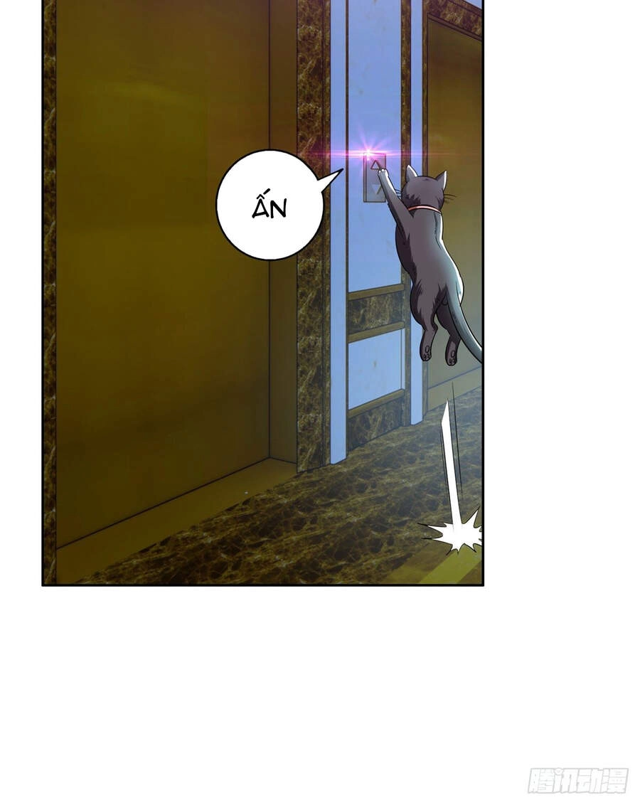 Trọng Sinh Chi Thần Cấp Bại Gia Tử Chapter 8 - 36