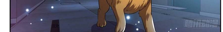 Trọng Sinh Chi Thần Cấp Bại Gia Tử Chapter 9 - 15