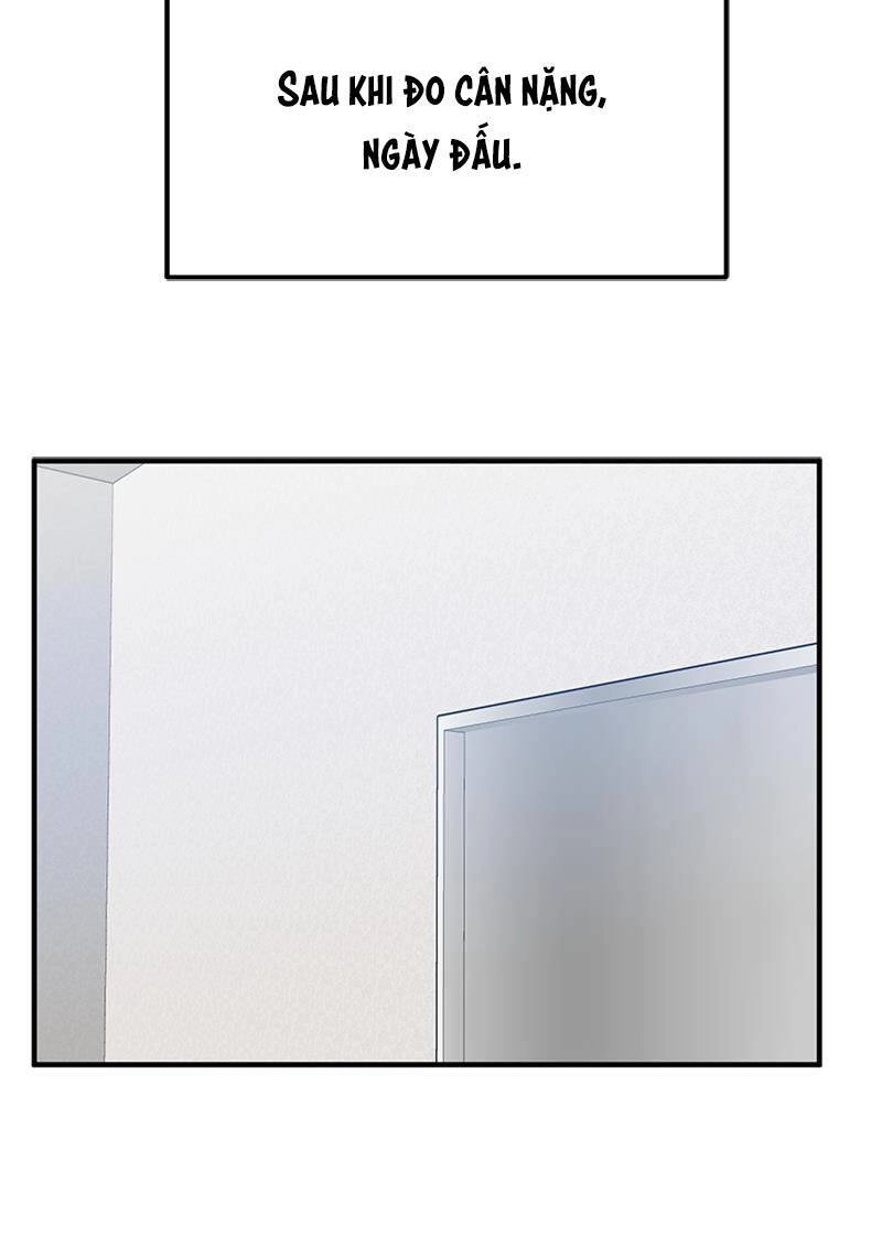 Vua Võ Đài Chapter 43 - 14