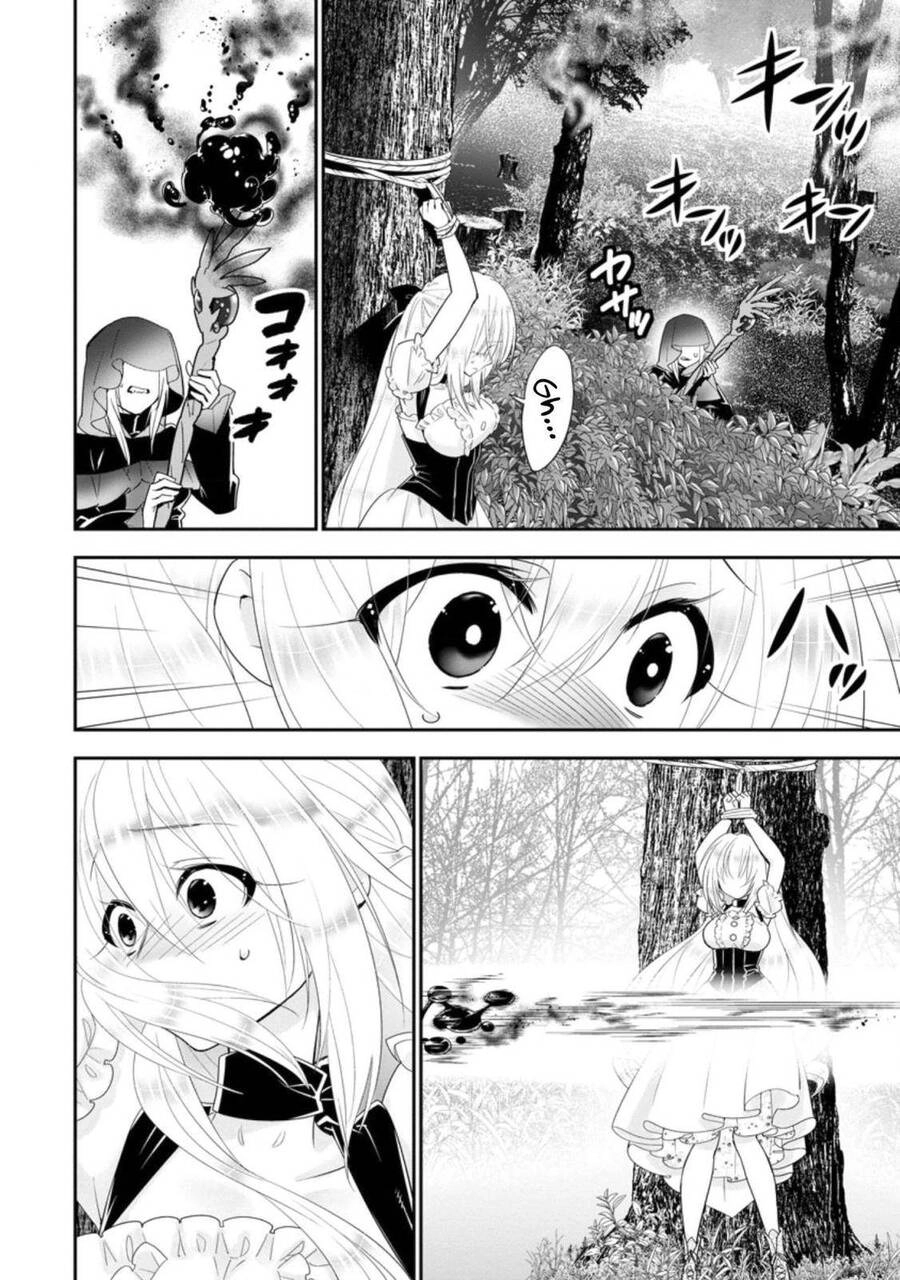 Mạo Hiểm Giả Hạng A Về Hưu Trồng Rau Nuôi Vợ Chapter 24 - 25