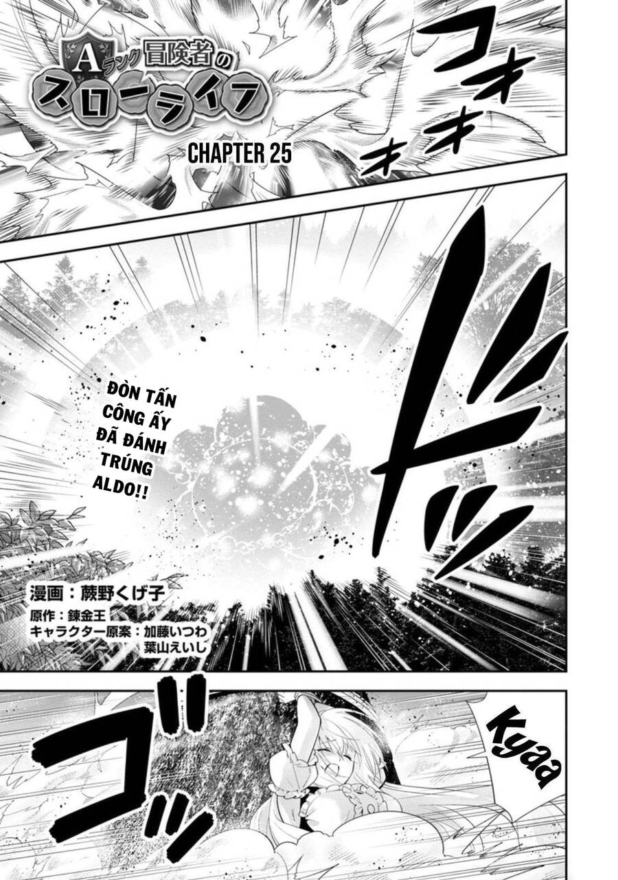 Mạo Hiểm Giả Hạng A Về Hưu Trồng Rau Nuôi Vợ Chapter 25 - 5