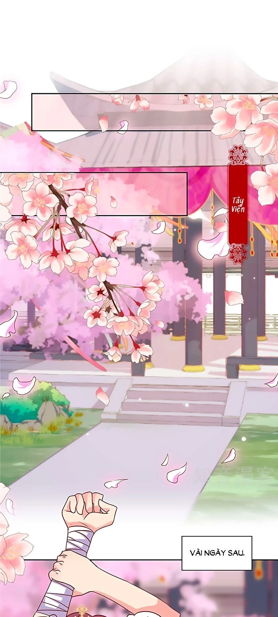 Hoàng Hậu Nương Nương Đích Năm Xu Đặc Hiệu Chapter 206 - 16