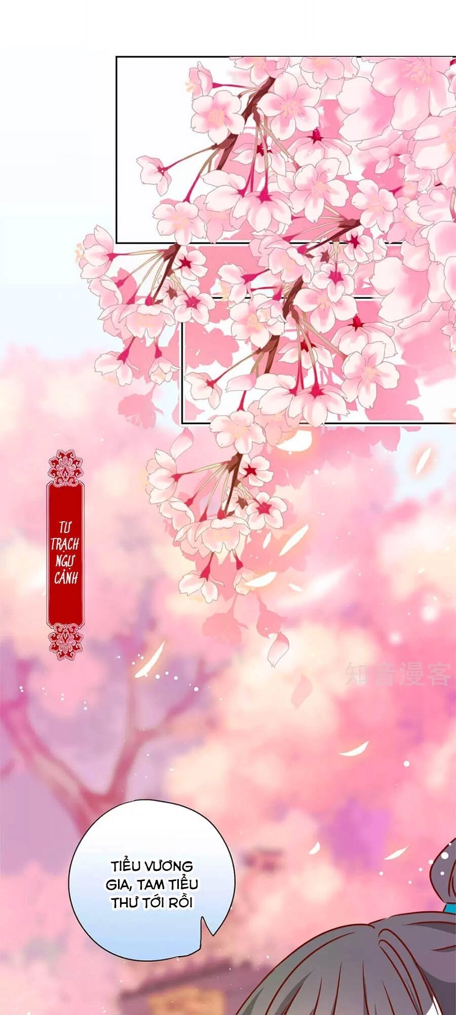 Hoàng Hậu Nương Nương Đích Năm Xu Đặc Hiệu Chapter 231 - 27