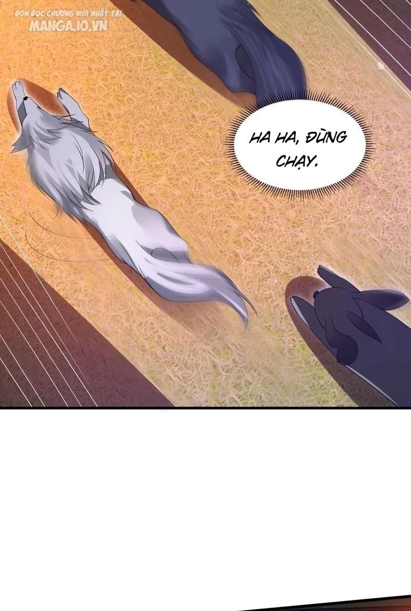 Tích Trữ 10 Vạn Vật Tư Trước Ngày Tận Thế Chapter 94 - 12