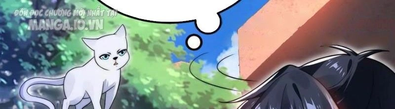 Tích Trữ 10 Vạn Vật Tư Trước Ngày Tận Thế Chapter 128 - 29