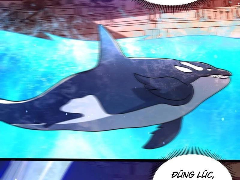 Tích Trữ 10 Vạn Vật Tư Trước Ngày Tận Thế Chapter 155 - 37