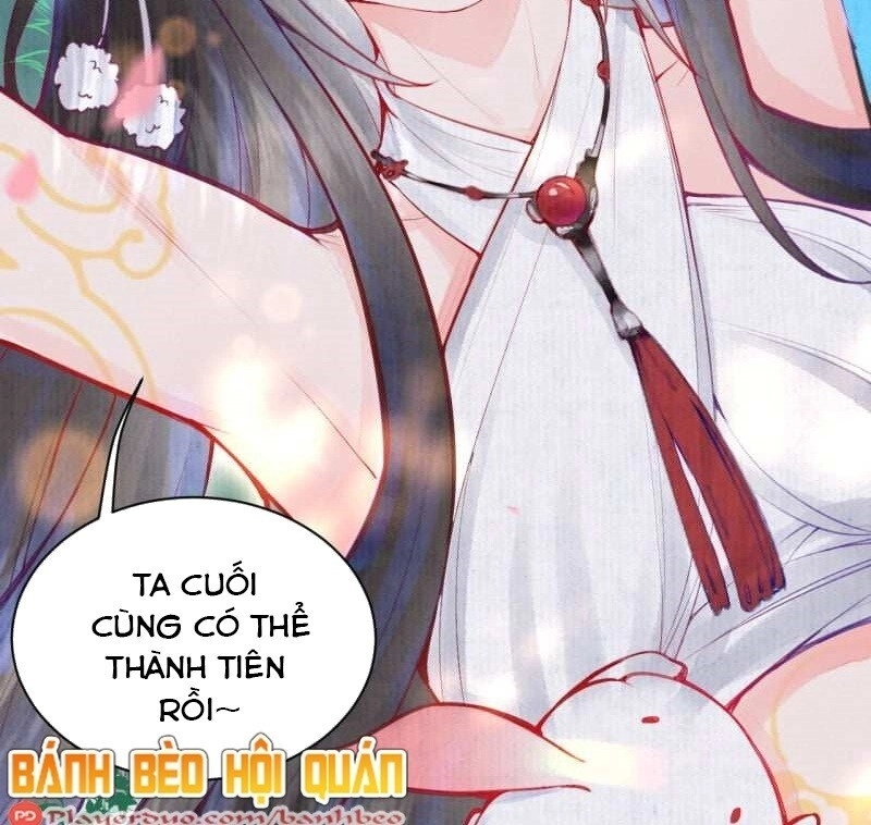 Sổ Tay Sinh Tồn Của Nàng Dâu Hoàng Gia Chapter 0 - 11