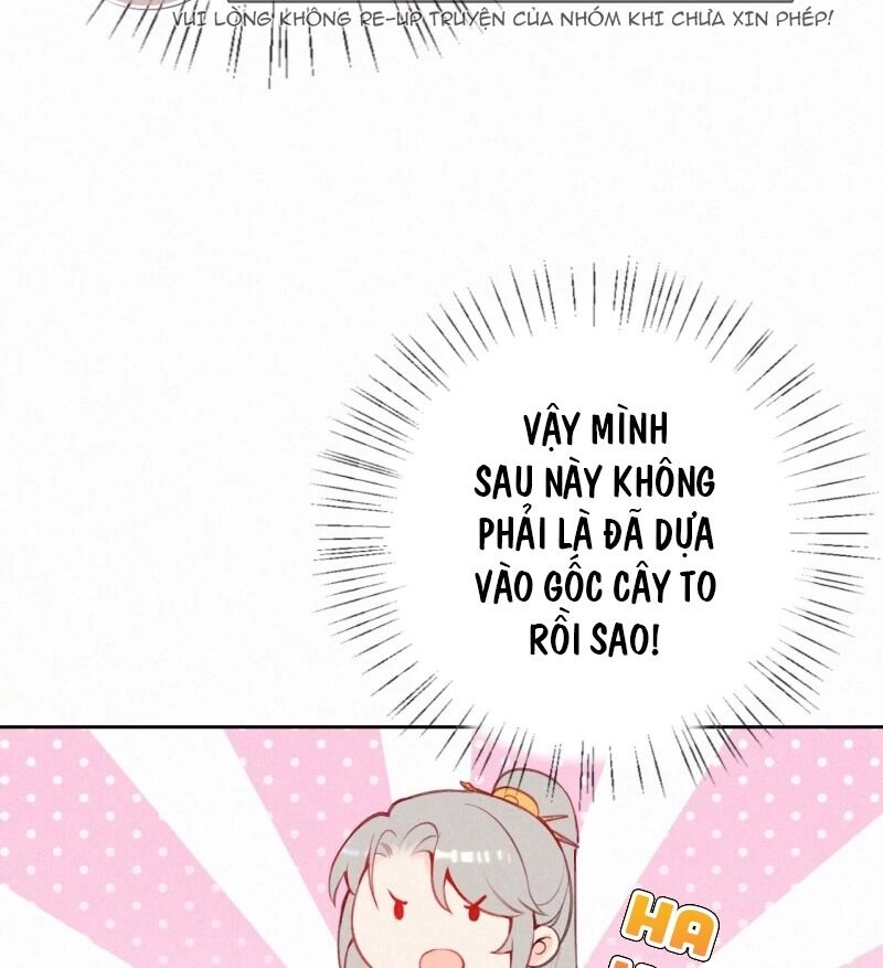 Sổ Tay Sinh Tồn Của Nàng Dâu Hoàng Gia Chapter 17 - 36