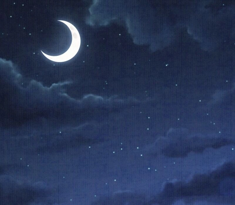 Sổ Tay Sinh Tồn Của Nàng Dâu Hoàng Gia Chapter 20 - 3