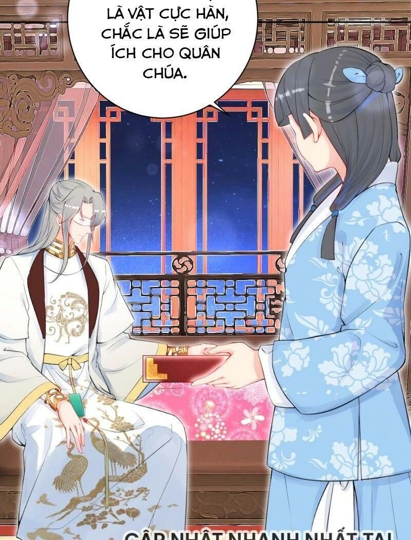 Sổ Tay Sinh Tồn Của Nàng Dâu Hoàng Gia Chapter 21 - 8