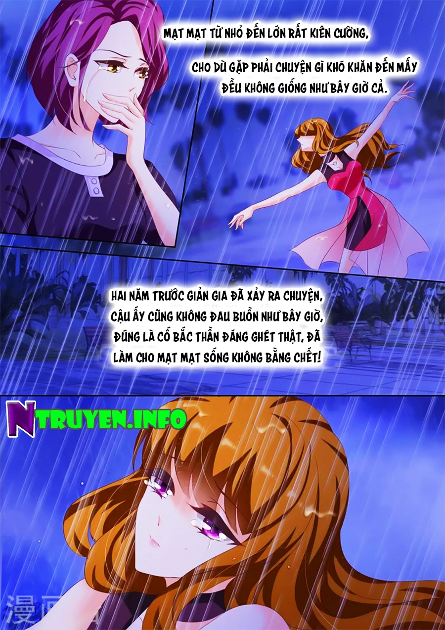 Hào Môn Thiên Giới Tiền Thê Chapter 185 - 6