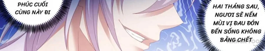 Hào Môn Thiên Giới Tiền Thê Chapter 442 - 5