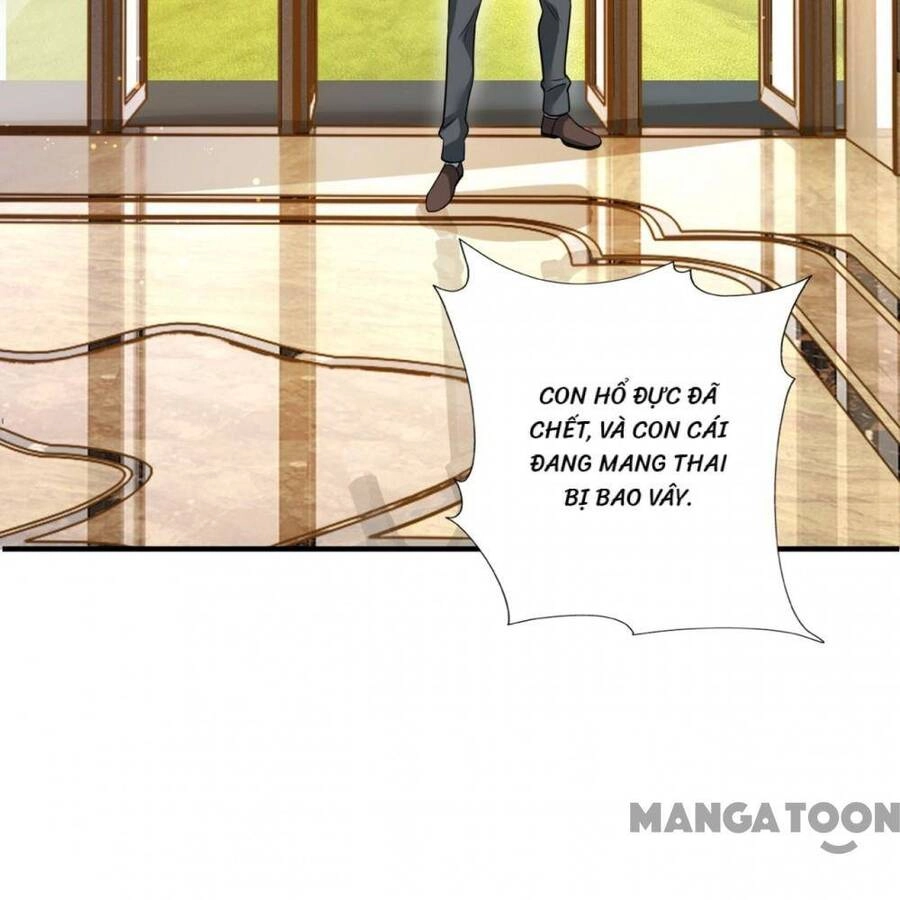 Hào Môn Thiên Giới Tiền Thê Chapter 607 - 19