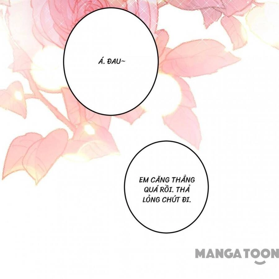 Hào Môn Thiên Giới Tiền Thê Chapter 626 - 11