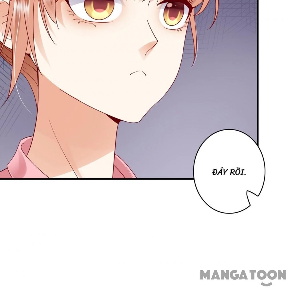 Hào Môn Thiên Giới Tiền Thê Chapter 670 - 25