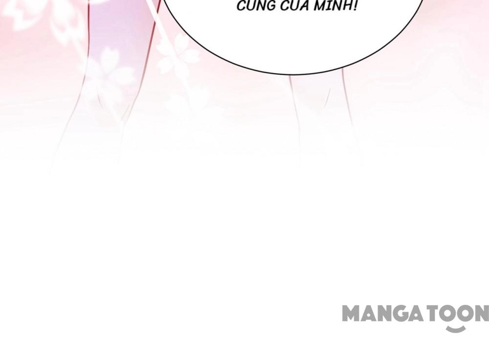 Hào Môn Thiên Giới Tiền Thê Chapter 690 - 11