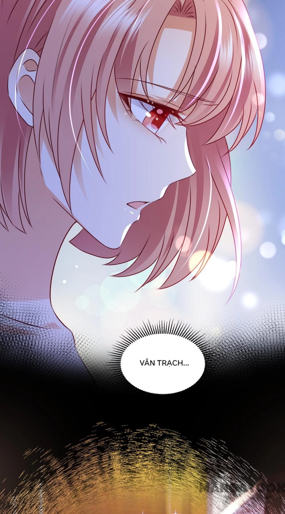 Hào Môn Thiên Giới Tiền Thê Chapter 751 - 13