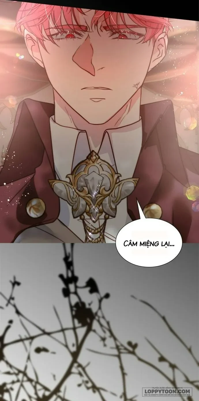 Tôi Được Sinh Ra Là Con Gái Thứ Hai Chapter 84 - 39