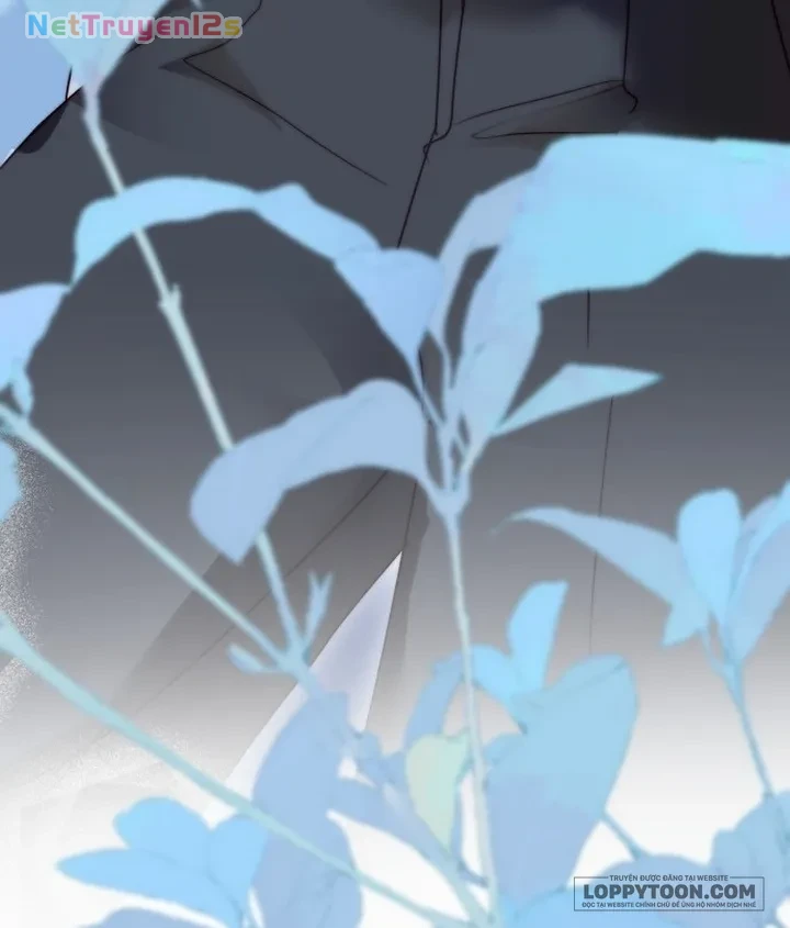 Tôi Được Sinh Ra Là Con Gái Thứ Hai Chapter 88 - 43
