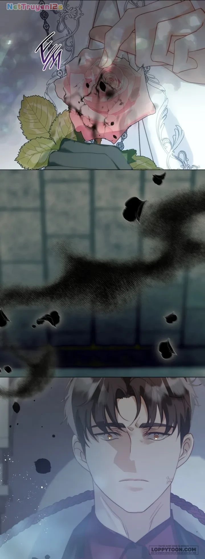 Tôi Được Sinh Ra Là Con Gái Thứ Hai Chapter 96 - 61