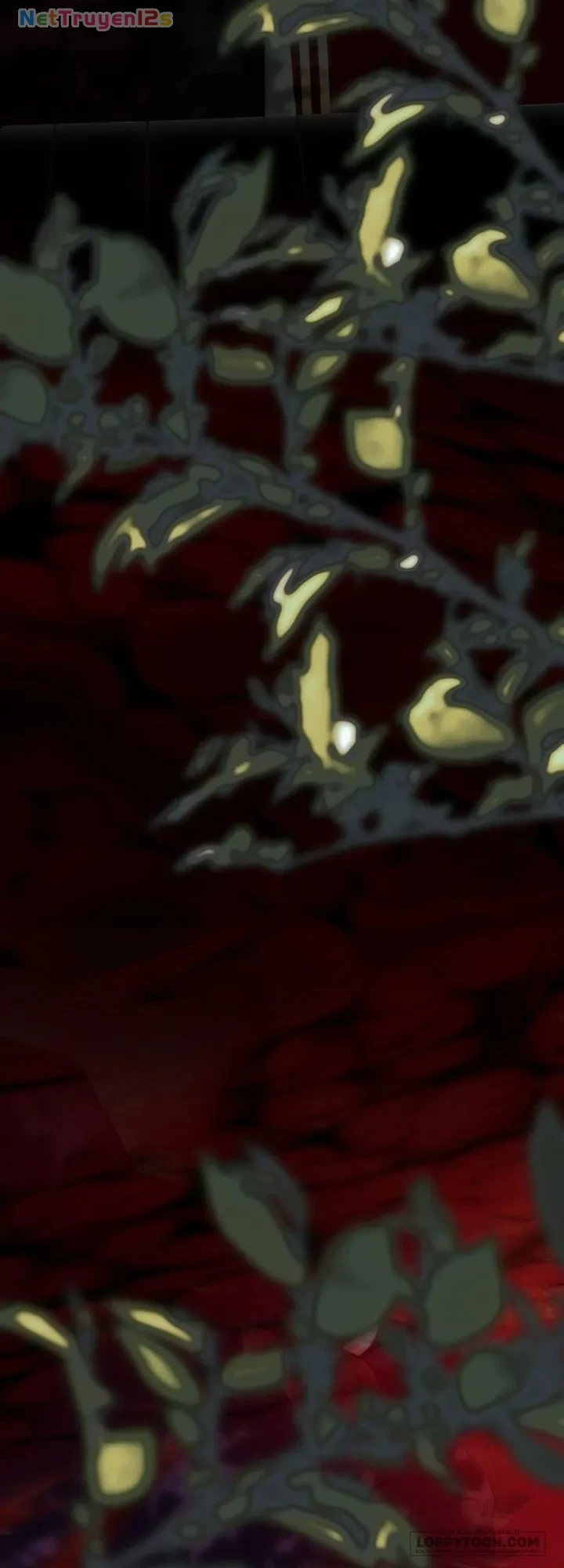 Tôi Được Sinh Ra Là Con Gái Thứ Hai Chapter 98 - 29
