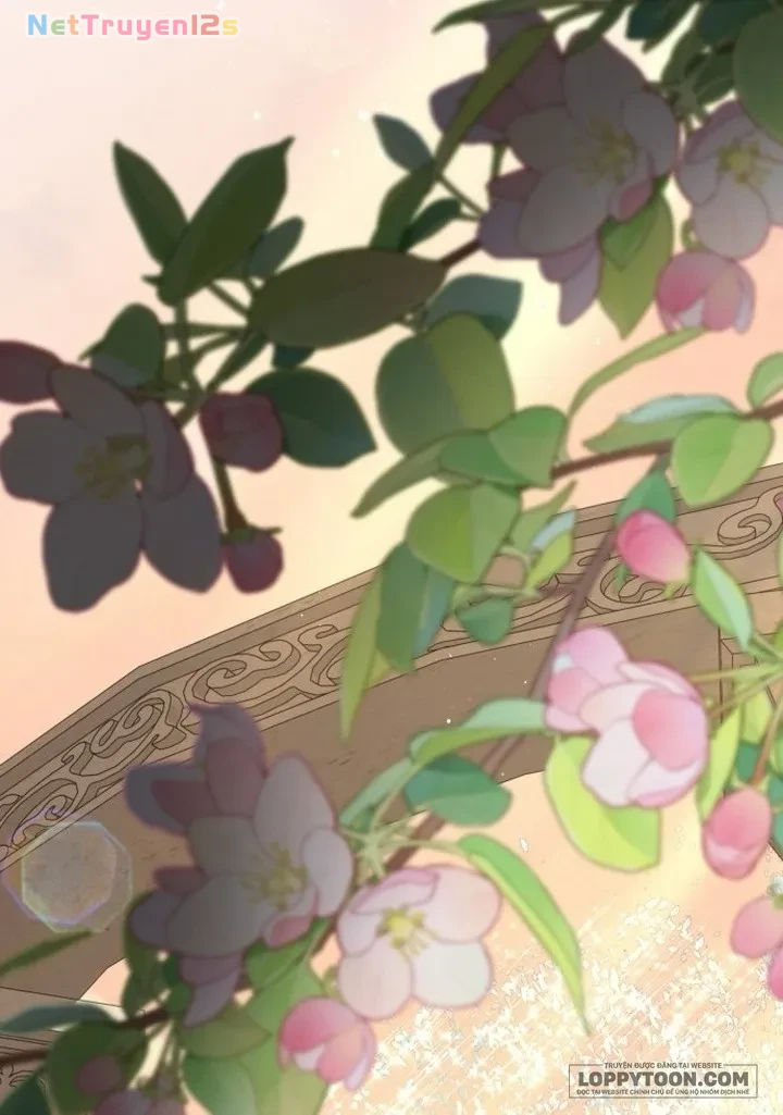 Tôi Được Sinh Ra Là Con Gái Thứ Hai Chapter 98 - 70