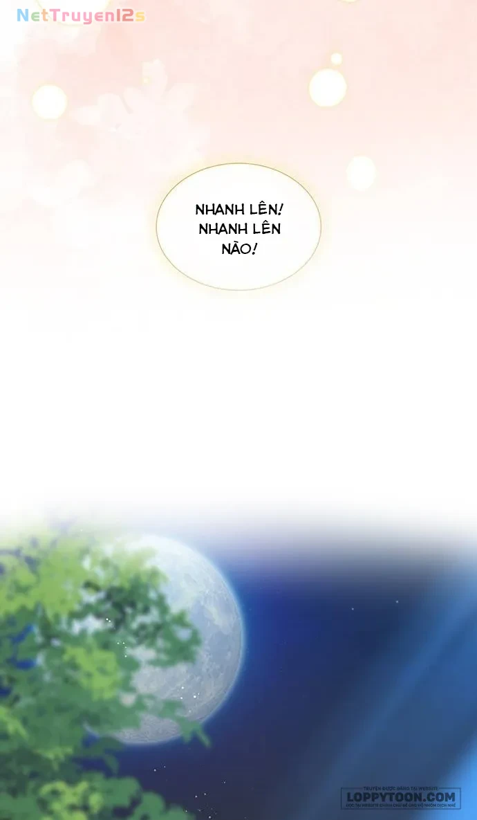 Tôi Được Sinh Ra Là Con Gái Thứ Hai Chapter 99 - 14