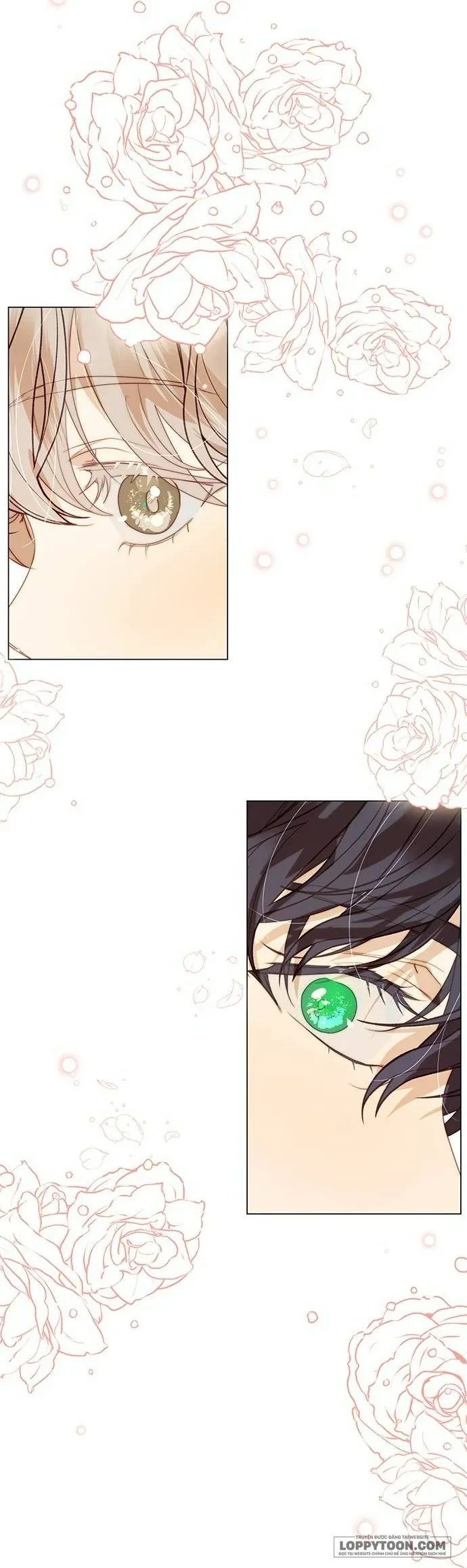 Tôi Được Sinh Ra Là Con Gái Thứ Hai Chapter 71 - 6