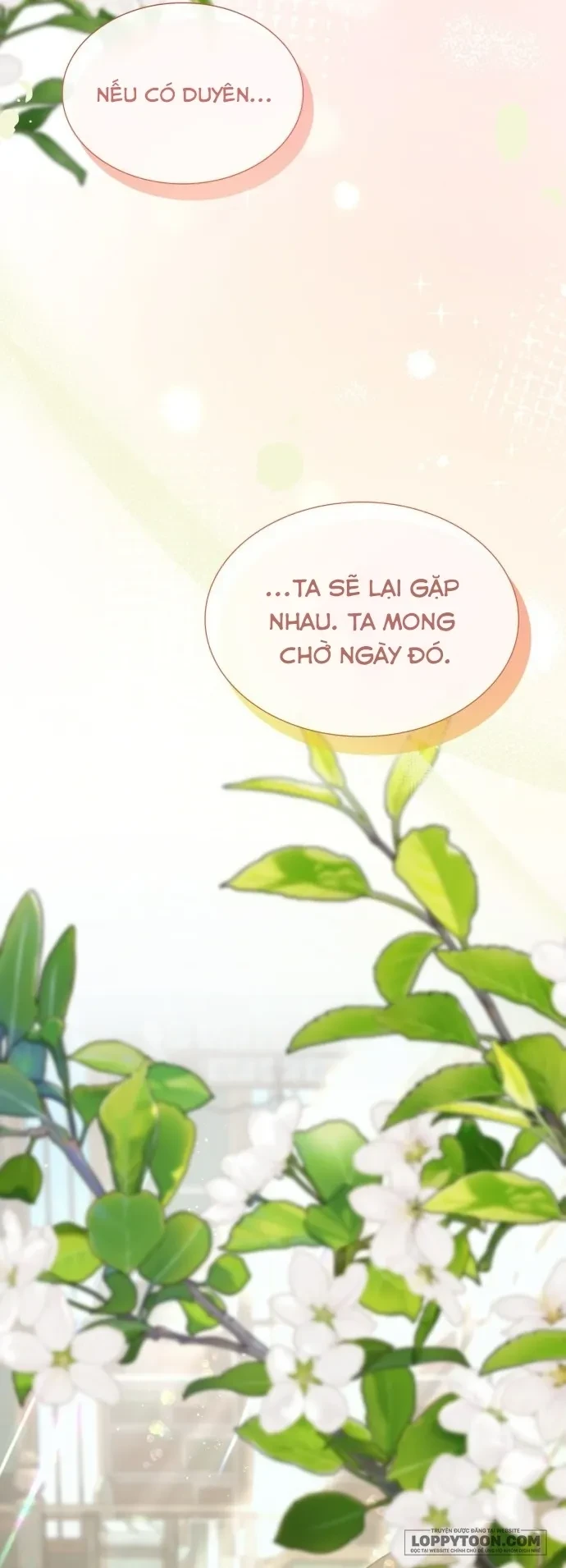Tôi Được Sinh Ra Là Con Gái Thứ Hai Chapter 83 - 47