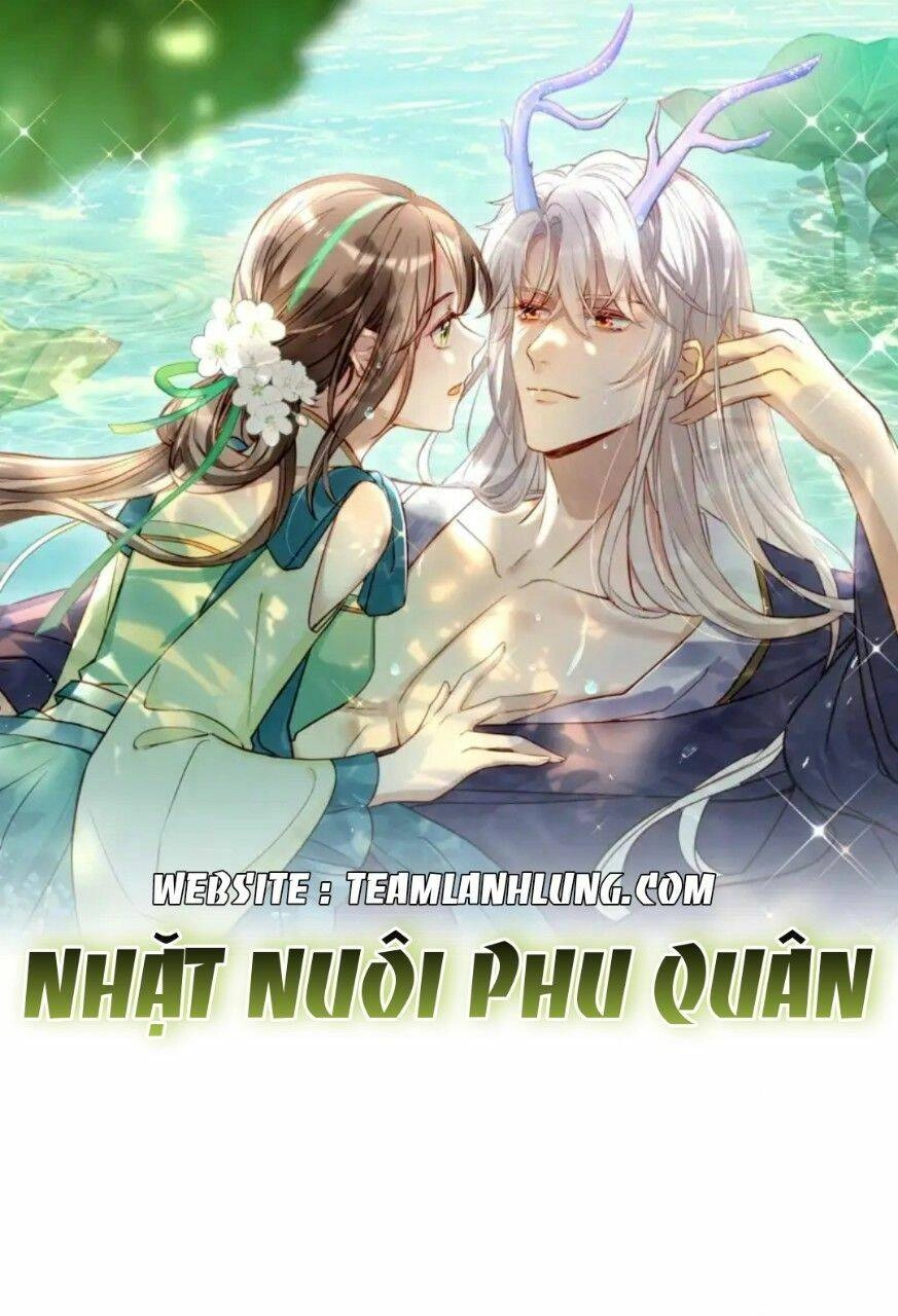 Nhặt Nuôi Phu Quân Chapter 1 - 1