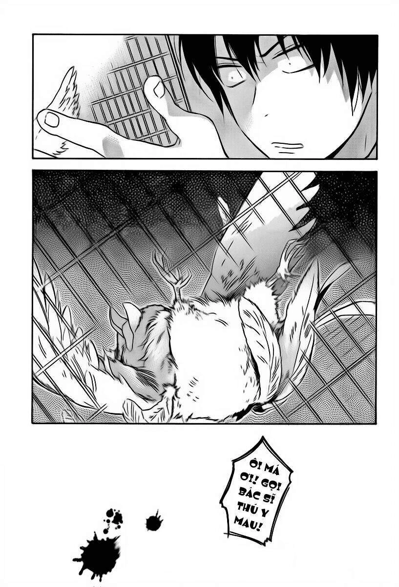 Toradora! Chapter 24 - 16