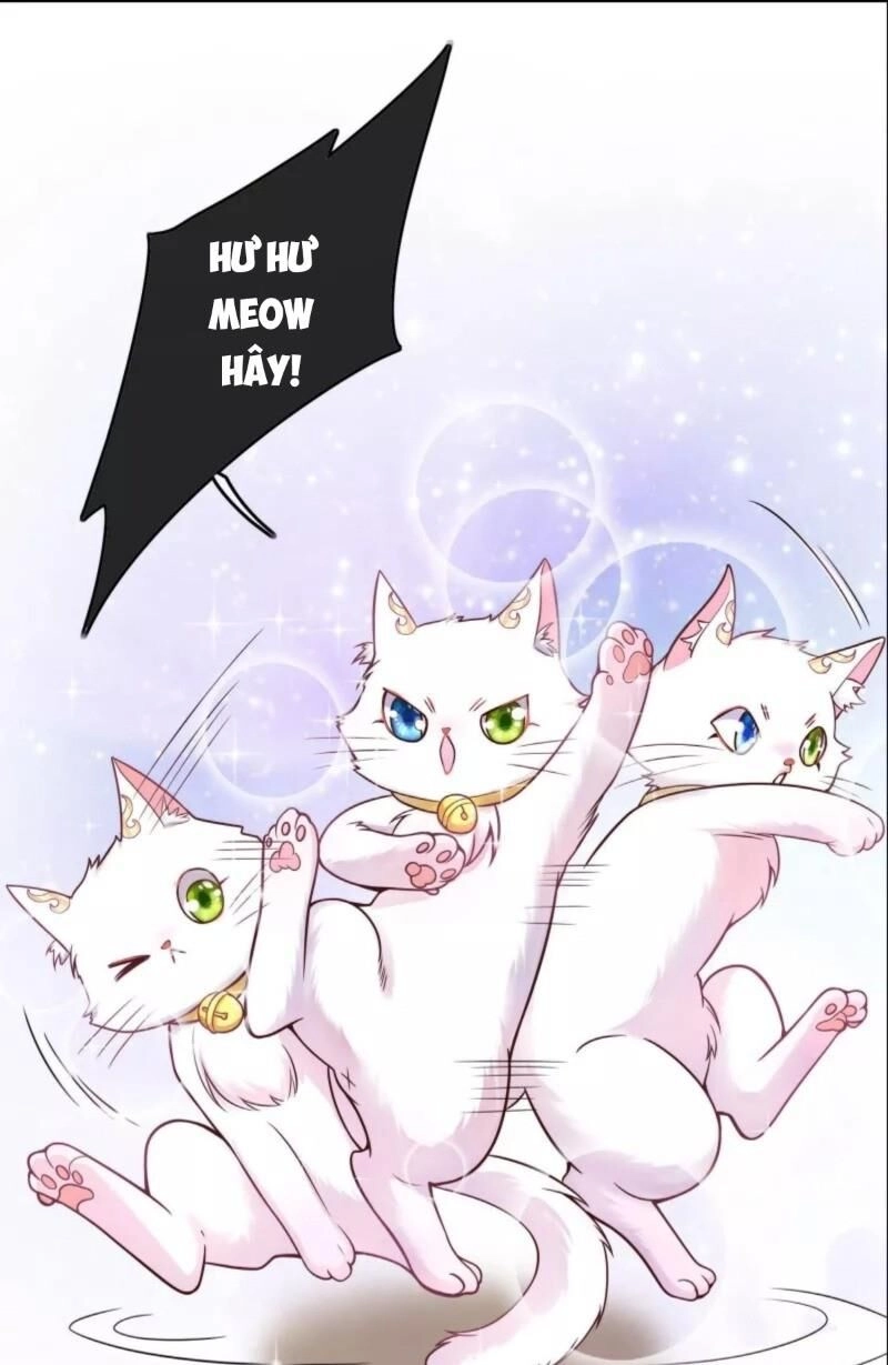 Hài Đế Vi Tôn Chapter 0 - 23