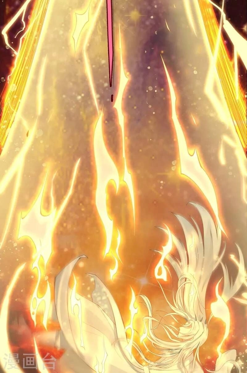 Ta Vốn Là Mèo Chapter 1 - 39