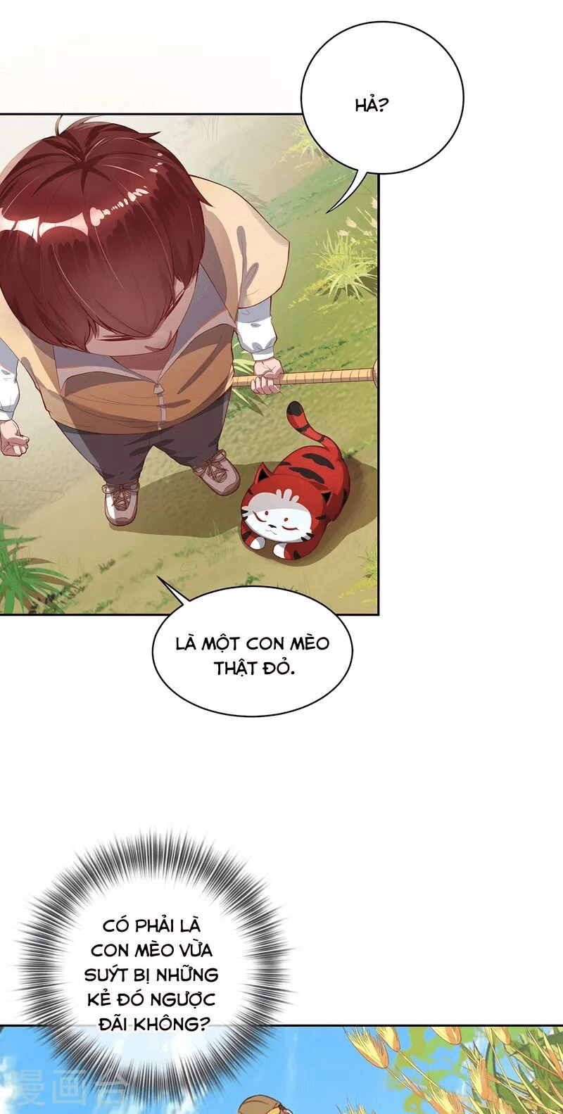 Ta Vốn Là Mèo Chapter 2 - 9