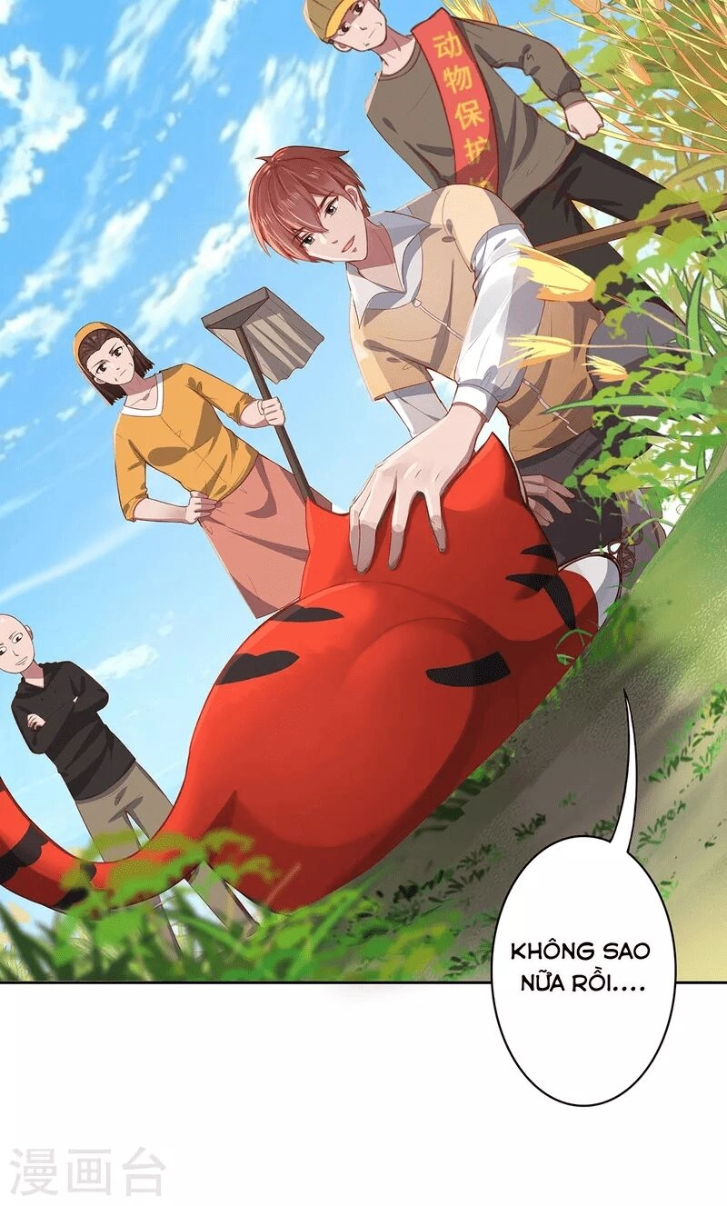 Ta Vốn Là Mèo Chapter 2 - 10