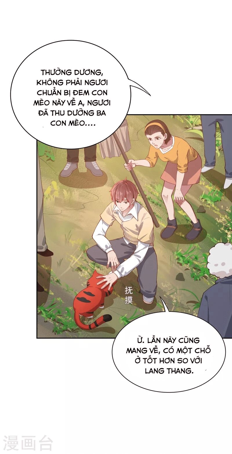 Ta Vốn Là Mèo Chapter 2 - 11