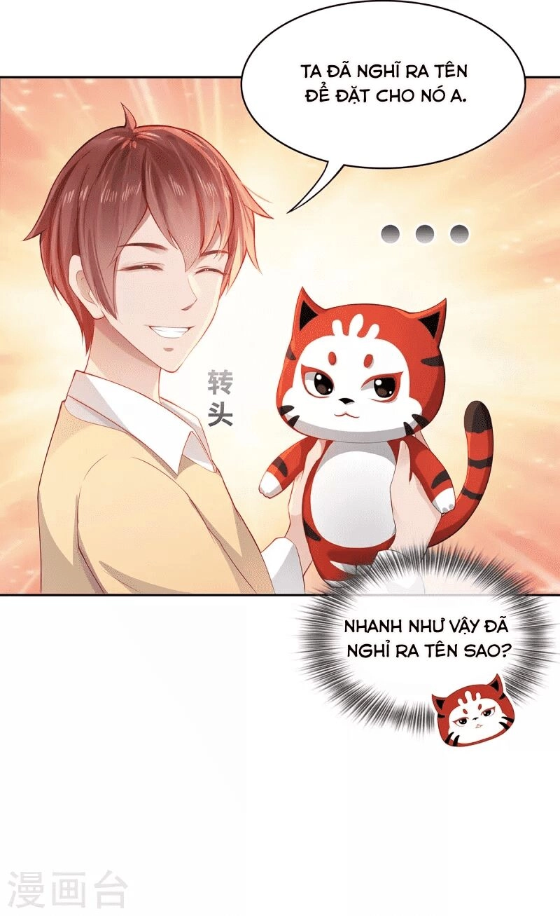 Ta Vốn Là Mèo Chapter 2 - 15