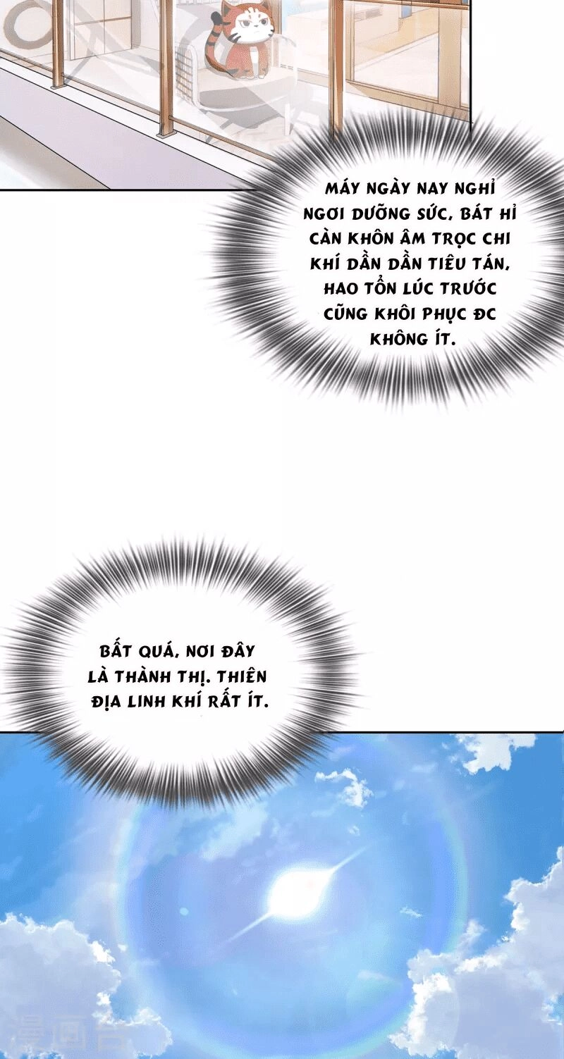 Ta Vốn Là Mèo Chapter 2 - 23