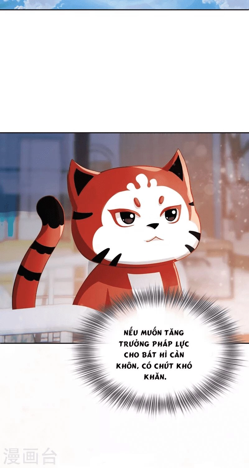 Ta Vốn Là Mèo Chapter 2 - 24