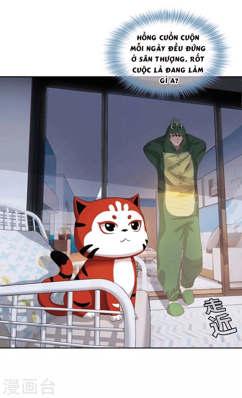 Ta Vốn Là Mèo Chapter 2 - 25