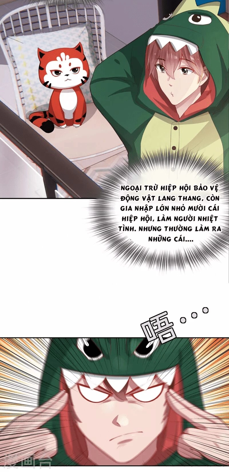 Ta Vốn Là Mèo Chapter 2 - 28