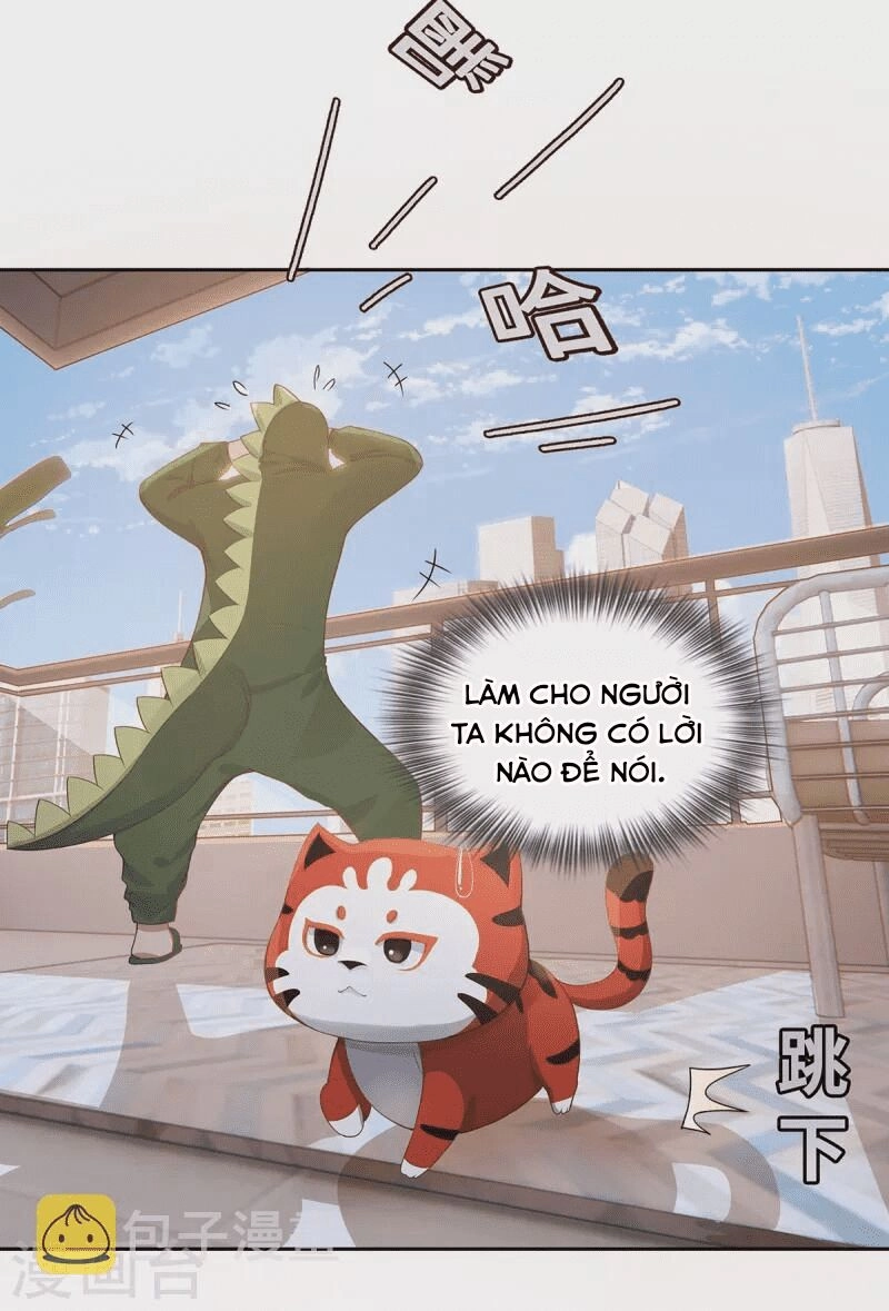 Ta Vốn Là Mèo Chapter 2 - 32
