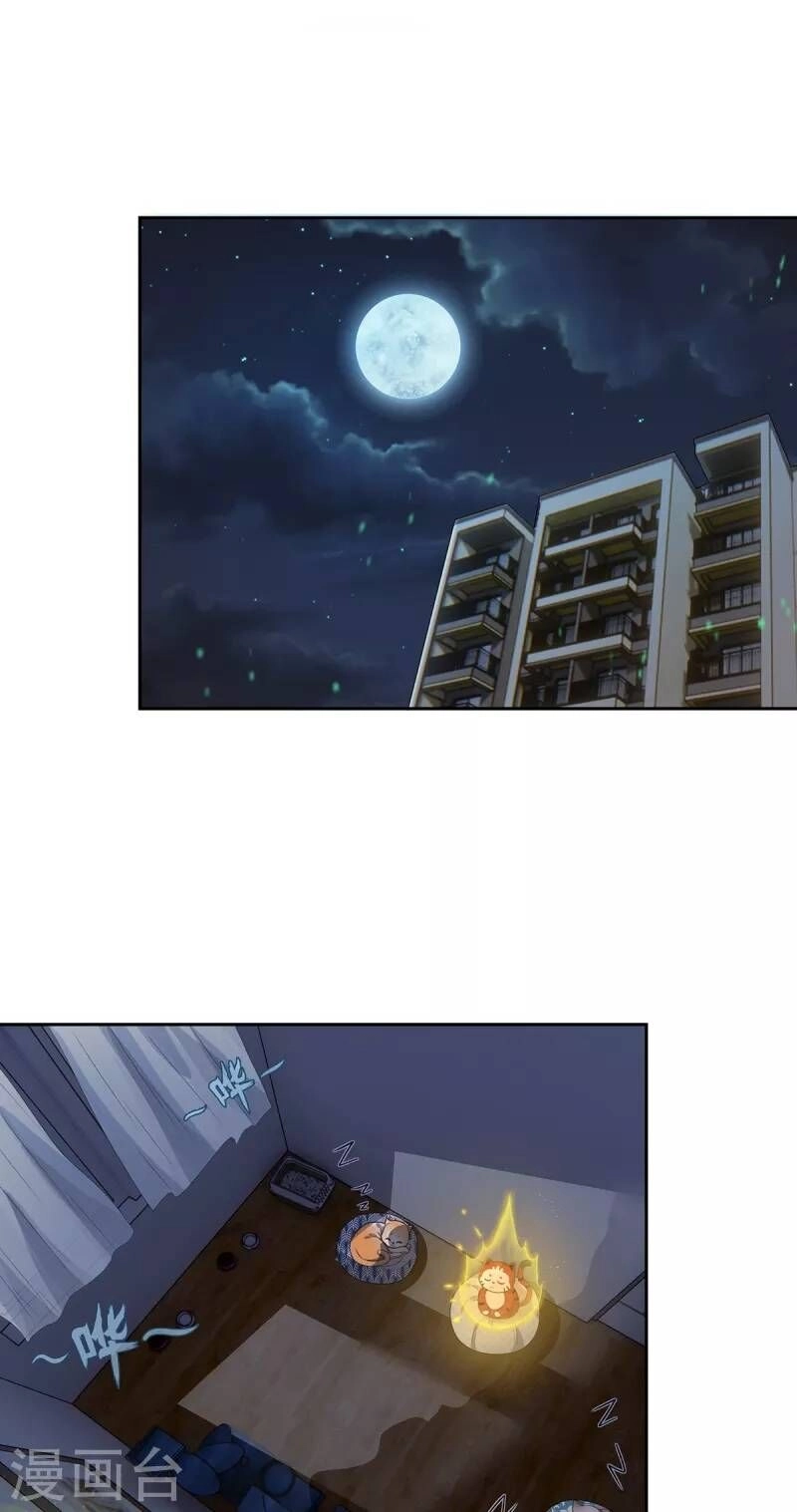 Ta Vốn Là Mèo Chapter 2 - 36