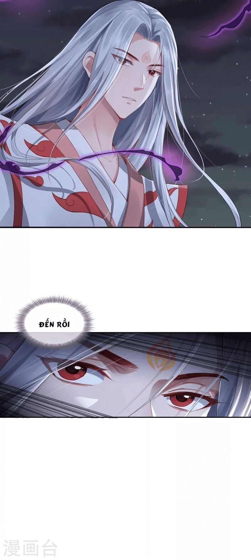 Ta Vốn Là Mèo Chapter 2 - 46