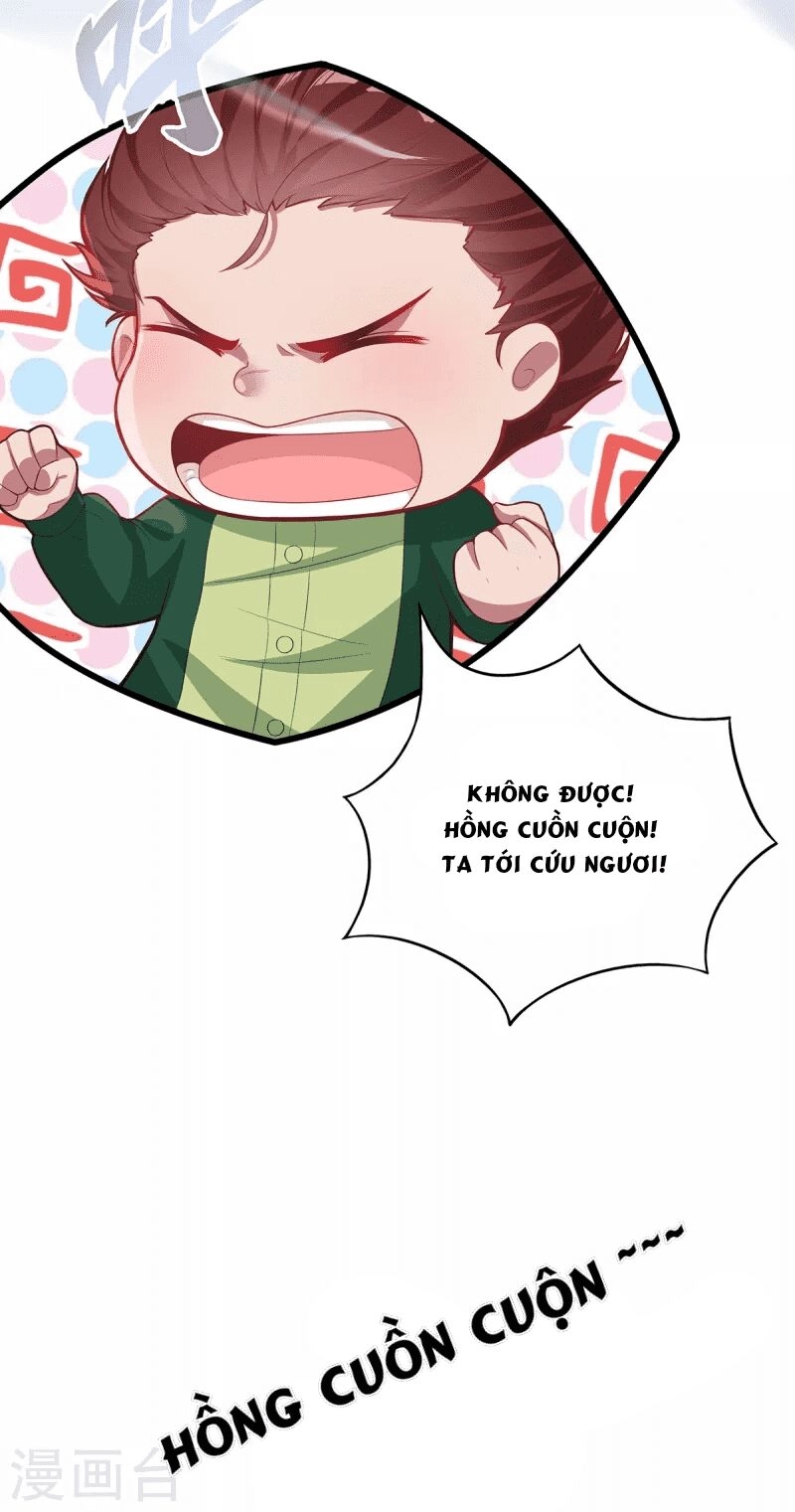 Ta Vốn Là Mèo Chapter 3 - 48