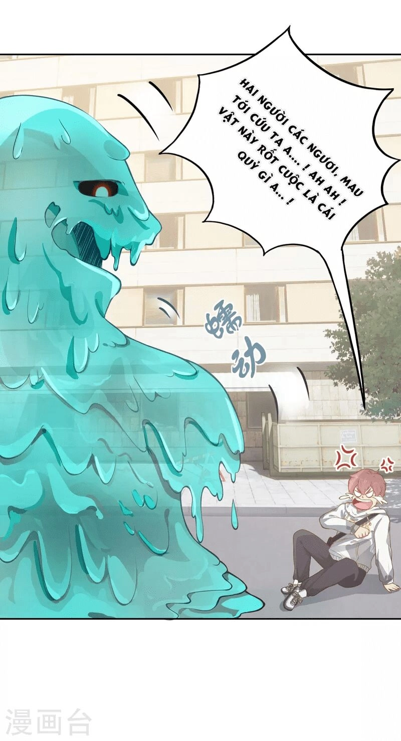 Ta Vốn Là Mèo Chapter 5 - 5