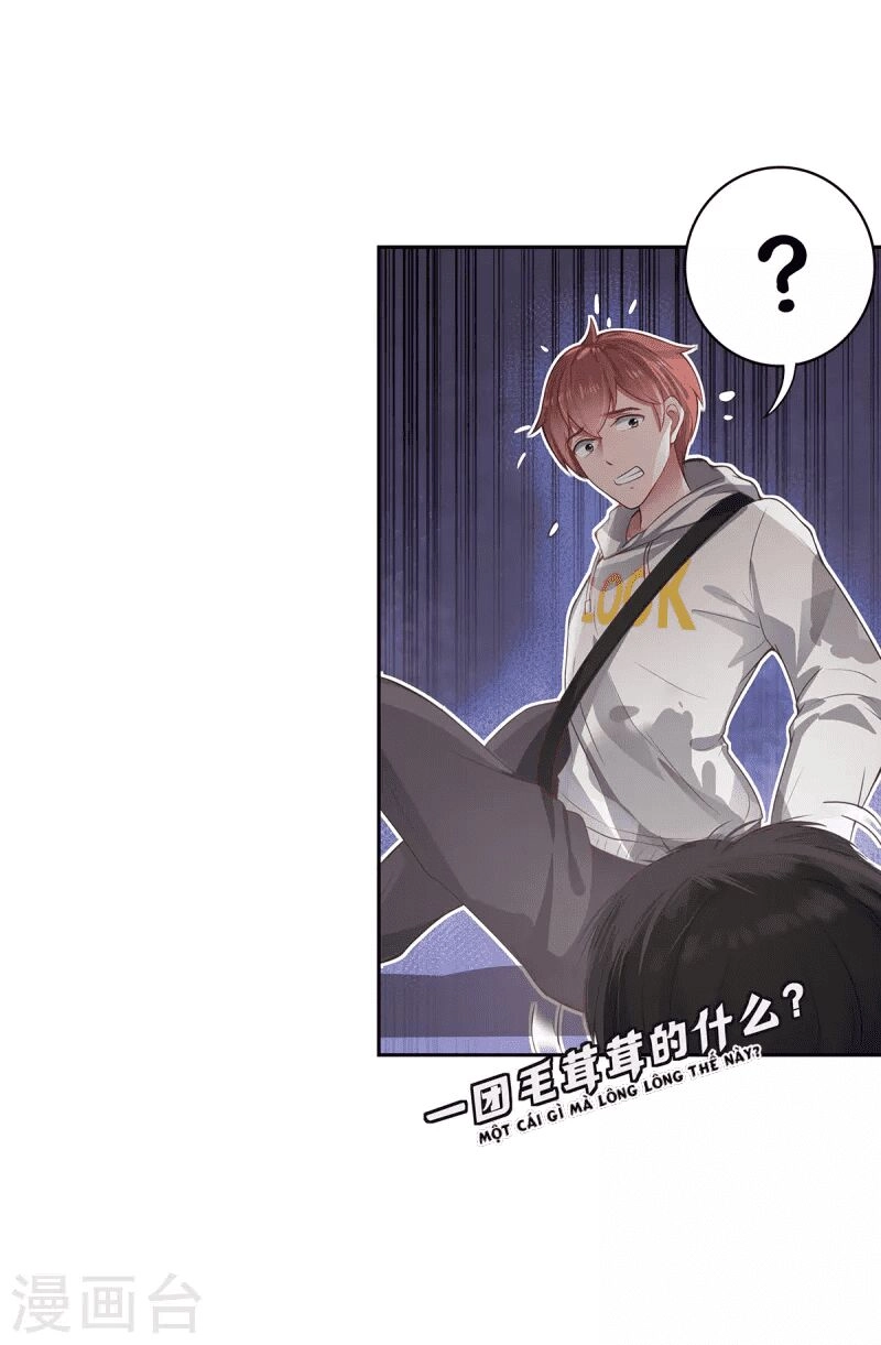 Ta Vốn Là Mèo Chapter 5 - 7