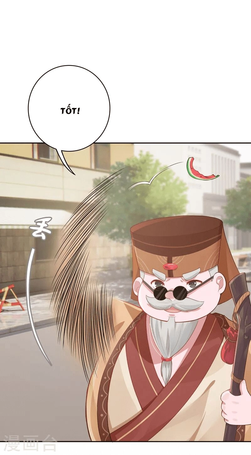 Ta Vốn Là Mèo Chapter 5 - 17