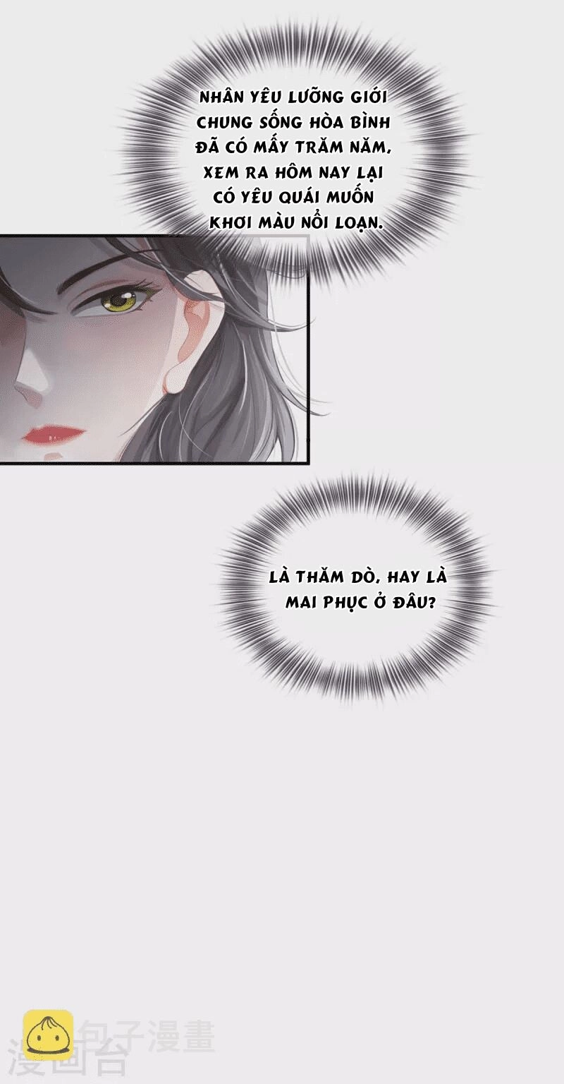 Ta Vốn Là Mèo Chapter 5 - 50