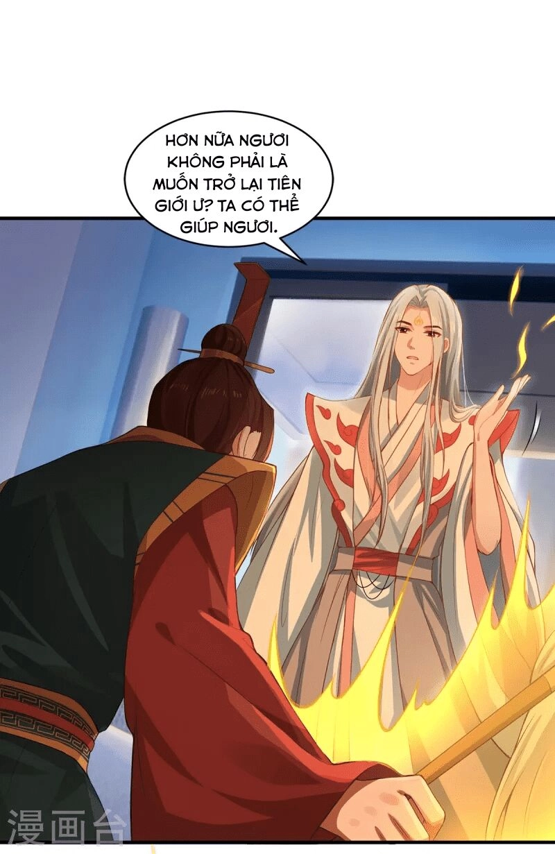 Ta Vốn Là Mèo Chapter 7 - 4